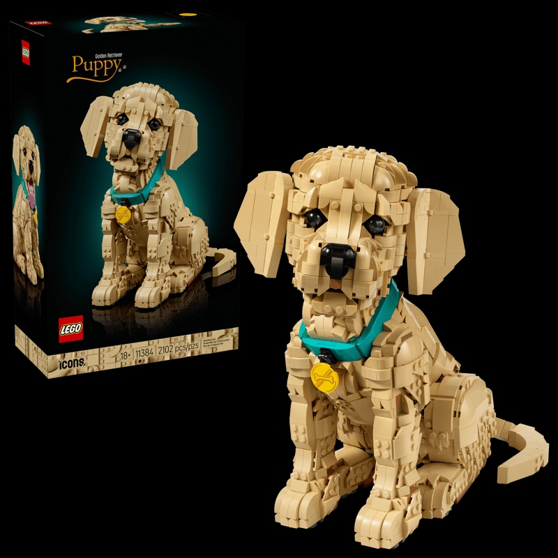 Icons - Le chiot Golden Retriever - CONSTRUCTION - LEGO