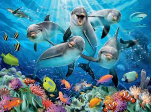 Ravensburger - Dauphins, 500 pces - 500 PIÈCES - RAVENSBURGER