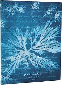 Journal sea flowers ultra midi - PAPETERIE SOCIAL - Paperblanks