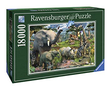 RAVENSBURGER AU POINT D'EAU 18 000 MCX - CASSE-TÊTE ADULTES - RAVENSBURGER