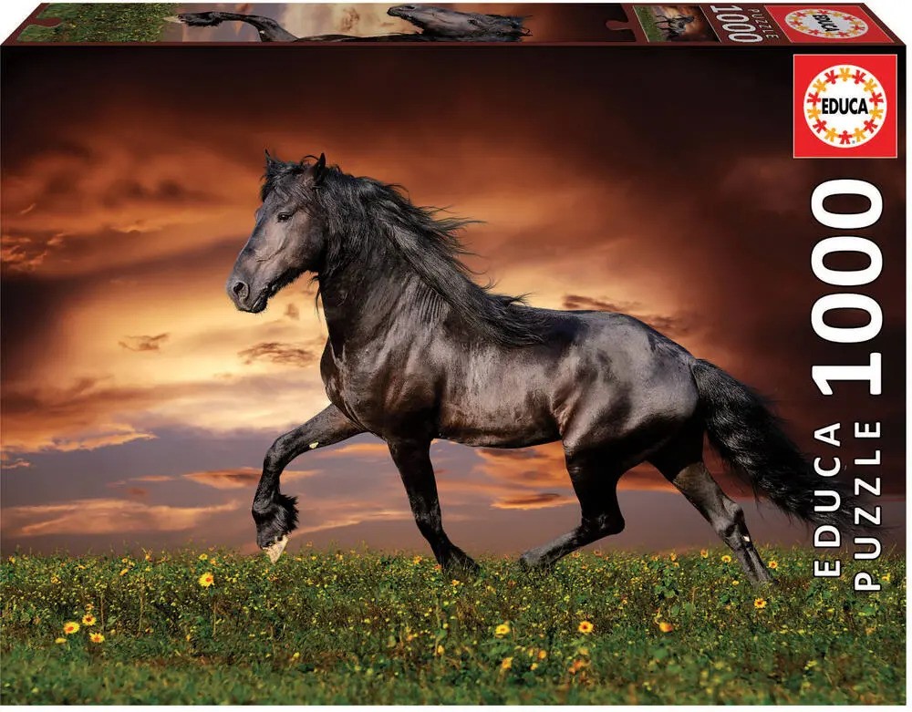 EDUCA - CHEVAL AU TROT, 1000 pieces - 1000 PIÈCES - educa