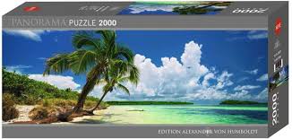 HEYE 2000 PANO PARADISE PALMS - CASSE-TÊTE ADULTES - HEYE
