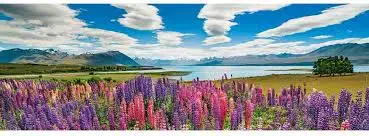 HEYE 1000 PANO - LAKE TEKAPO - CASSE-TÊTE ADULTES - HEYE
