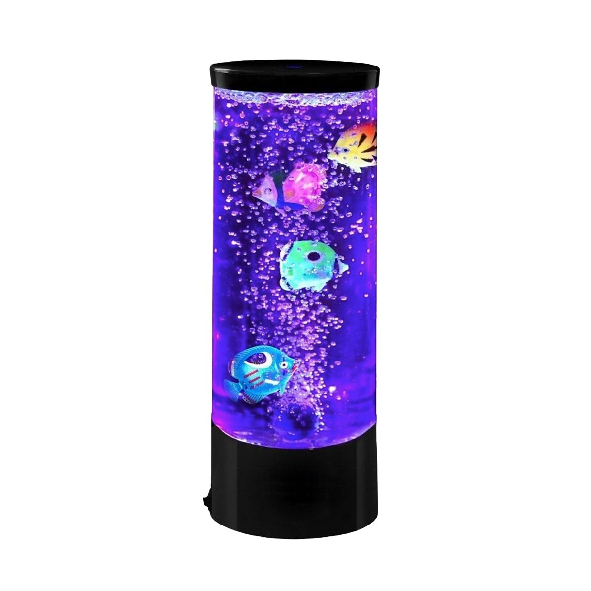 Bubblebloom Aquarium 28cm - DÉCOUVERTE ET OBSERVATION - FDMT