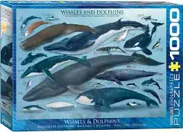 CASSE-TETE 1000 WHALES & DOLPHINS - 1000 PIÈCES - EUROGRAPHICS